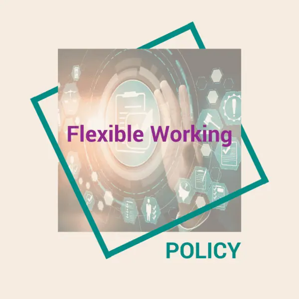 Flexible Working