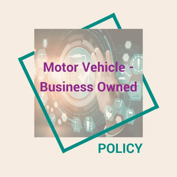 Motor Vehicle - Business Owned