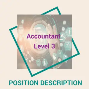 Accountant Level 3